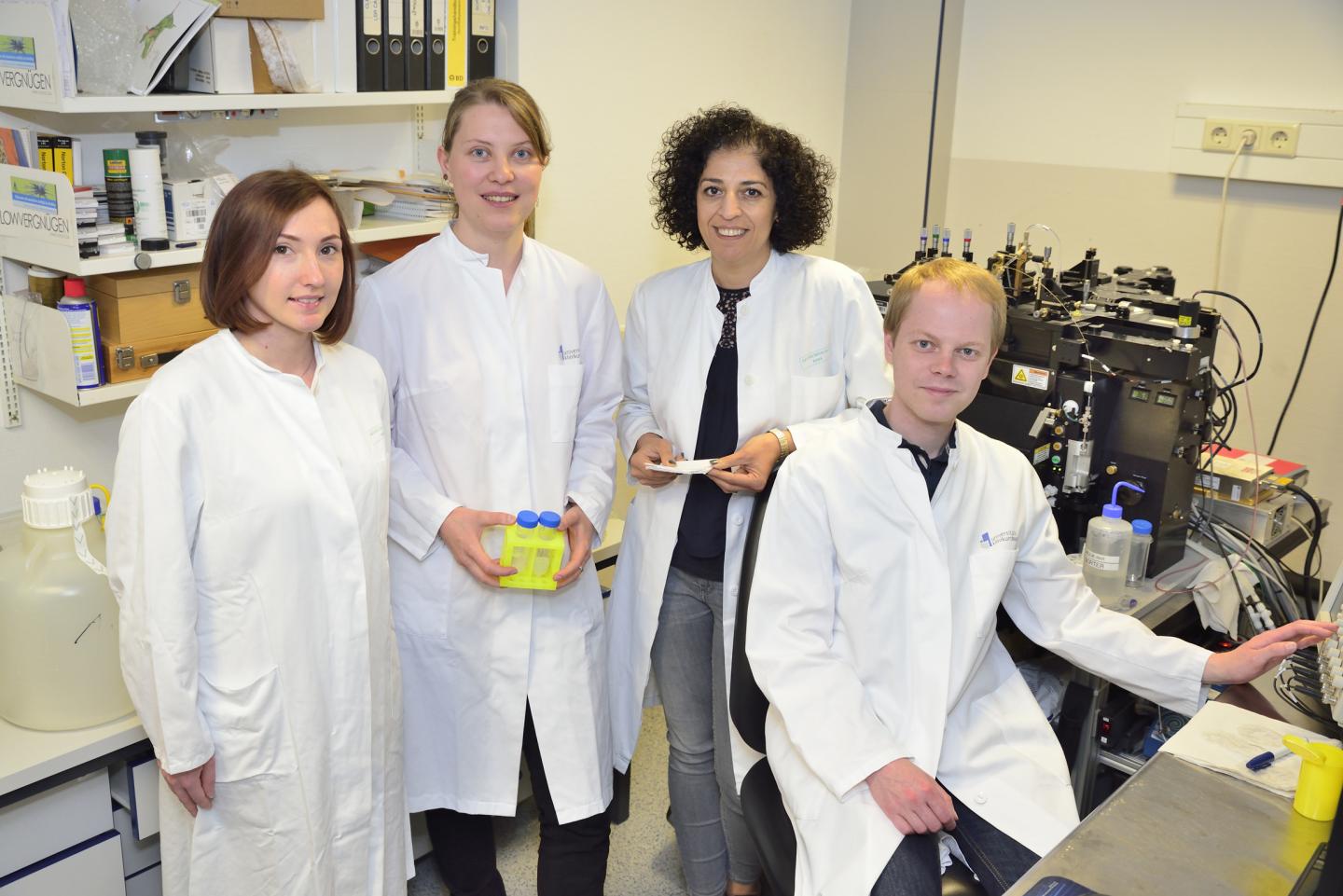 The Research Team