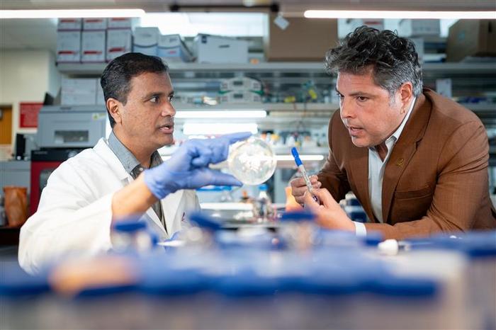 St. Jude researchers compared V. cholerae strains taken from patients with cholera to harmless ones taken from the environment.
