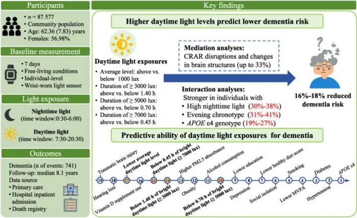 The study design and key findings on associations between wearable‐device‐measured daytime and nighttime light exposures and dementia risk.