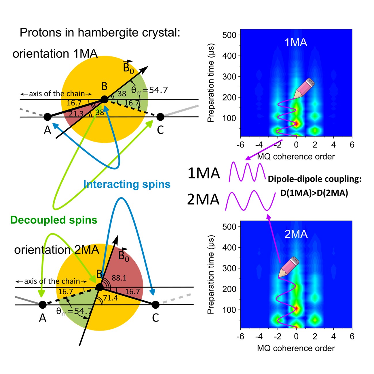 Orientations in magnetic field providing spin-pair interactions in zigzag spin chains of hambergite crystal and corresponding evolution of multiple quantum coherences.
