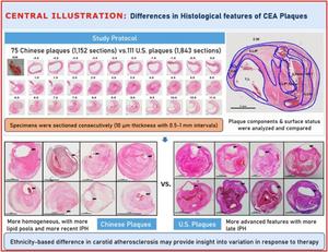 Ethnicity-Based Differences in Histological Features of Carotid Endarterectomy Plaques