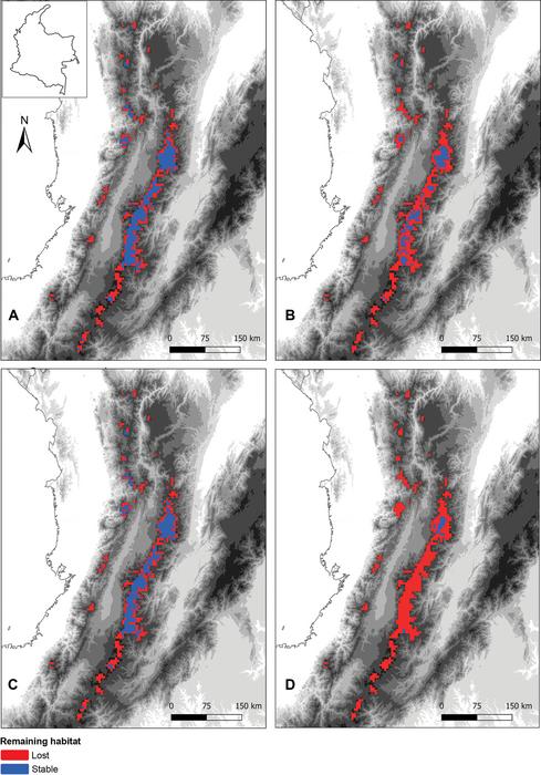 Projected changes in the potential distribution of Lepanthes nasariana