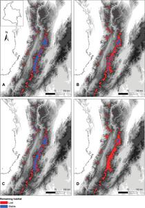 Projected changes in the potential distribution of Lepanthes nasariana