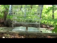 A squirrel successfully solved the problem