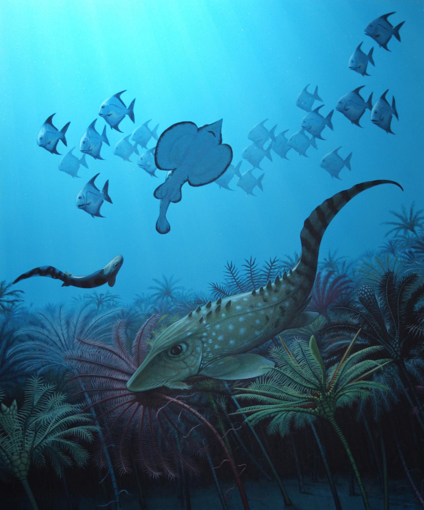 Mass Extinctions Don't Favor Large Vertebrates (1 of 2)