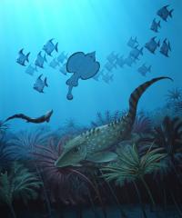 Mass Extinctions Don't Favor Large Vertebrates (1 of 2)