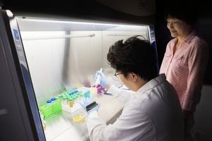Binghamton PhD student Tianzheng Liu, left, and Department of Biomedical Engineering Professor Sha Jin