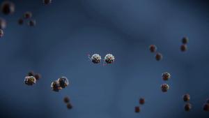 Small amino acids (red) ‘screen’ attraction of proteins to other molecules.
