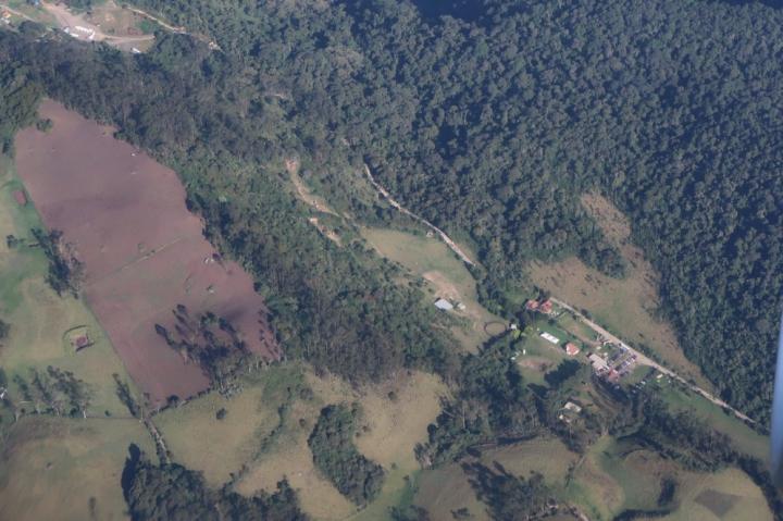 The Amazon Forest