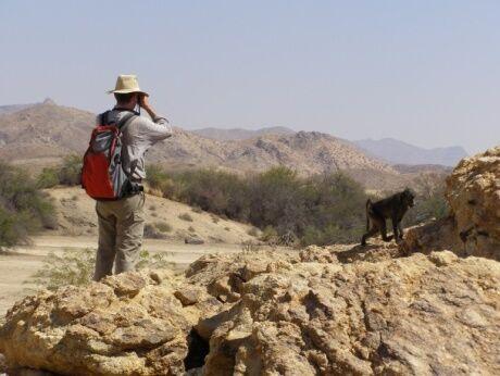 Novel Technologies are Transforming our Understanding of Why Wild Animals Form Different Groups