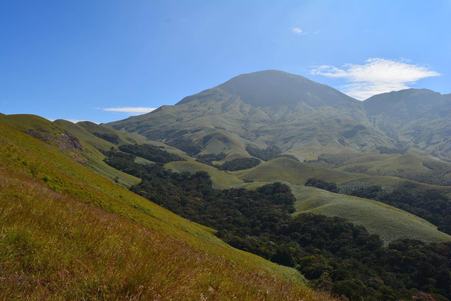 Type Locality of the New Earthworm Species <i>Drawida polydiverticulata</i>