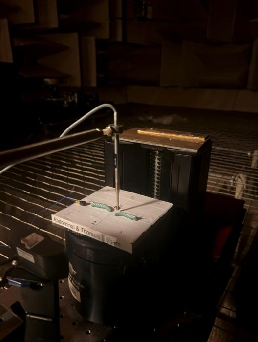 Anechoic chamber experiment