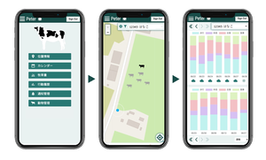 Figure 2: User interface of PETER