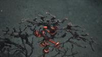 New Research Reveals Deep-Ocean Impact of the <i>Deepwater Horizon</i> Explosion (3 of 3)