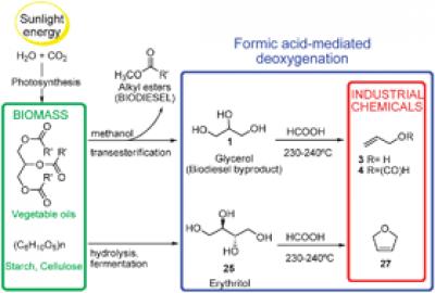 Biomass Deoxygenation