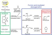 Biomass Deoxygenation