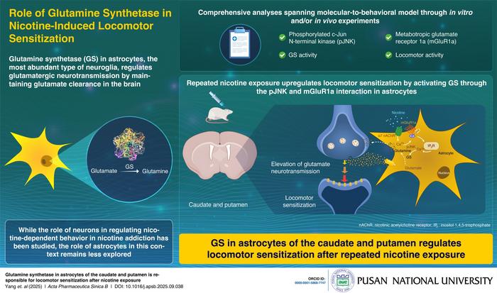 Role of astrocytes in nicotine-induced brain changes