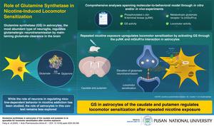 Role of astrocytes in nicotine-induced brain changes