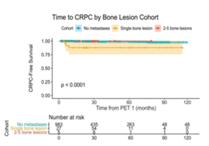 Time to castration-resistant prostate cancer (CRPC) by PSMA PET/CT bone lesion cohort at initial staging.
