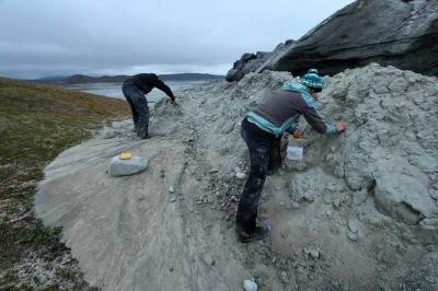 Fossil Hunting