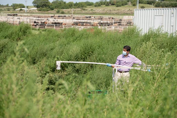 Wastewater collection
