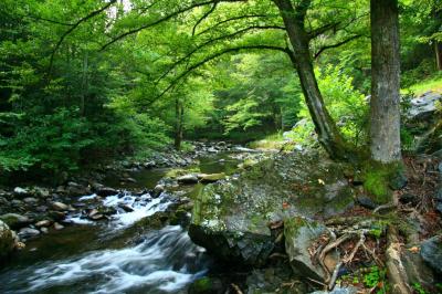 Great Smoky Mountains National Park