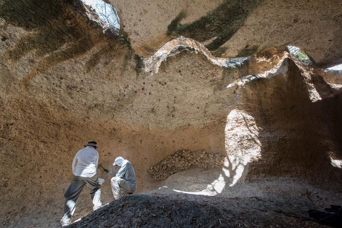 The well-preserved fossilized reefs from Dominican Republic date back 7000 years and reveal important changes in Caribbean reef ecosystems over time