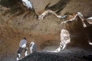 The well-preserved fossilized reefs from Dominican Republic date back 7000 years and reveal important changes in Caribbean reef ecosystems over time