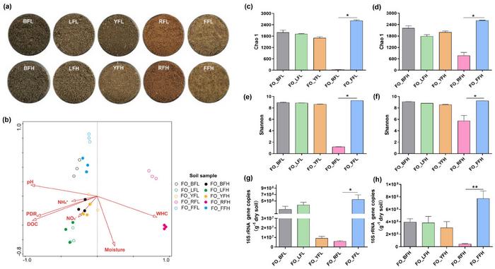 Characterization of bacterial communities in five soils.