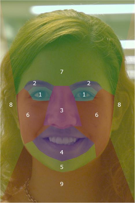 Facial feature prioritization by forensic specialists