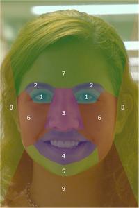 Facial feature prioritization by forensic specialists