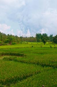 Greenness and its interaction with air pollution in relation to postmenopausal breast cancer risk in UK Biobank