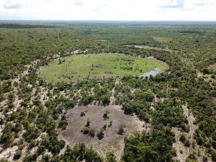 Fig. 1: A new study by the University of Vienna explains why "fairy circles" – circular areas where vegetation is damaged, as seen here in the São Francisco Basin in Brazil – subside and how their diameter is related to the depth of the hydrogen sour