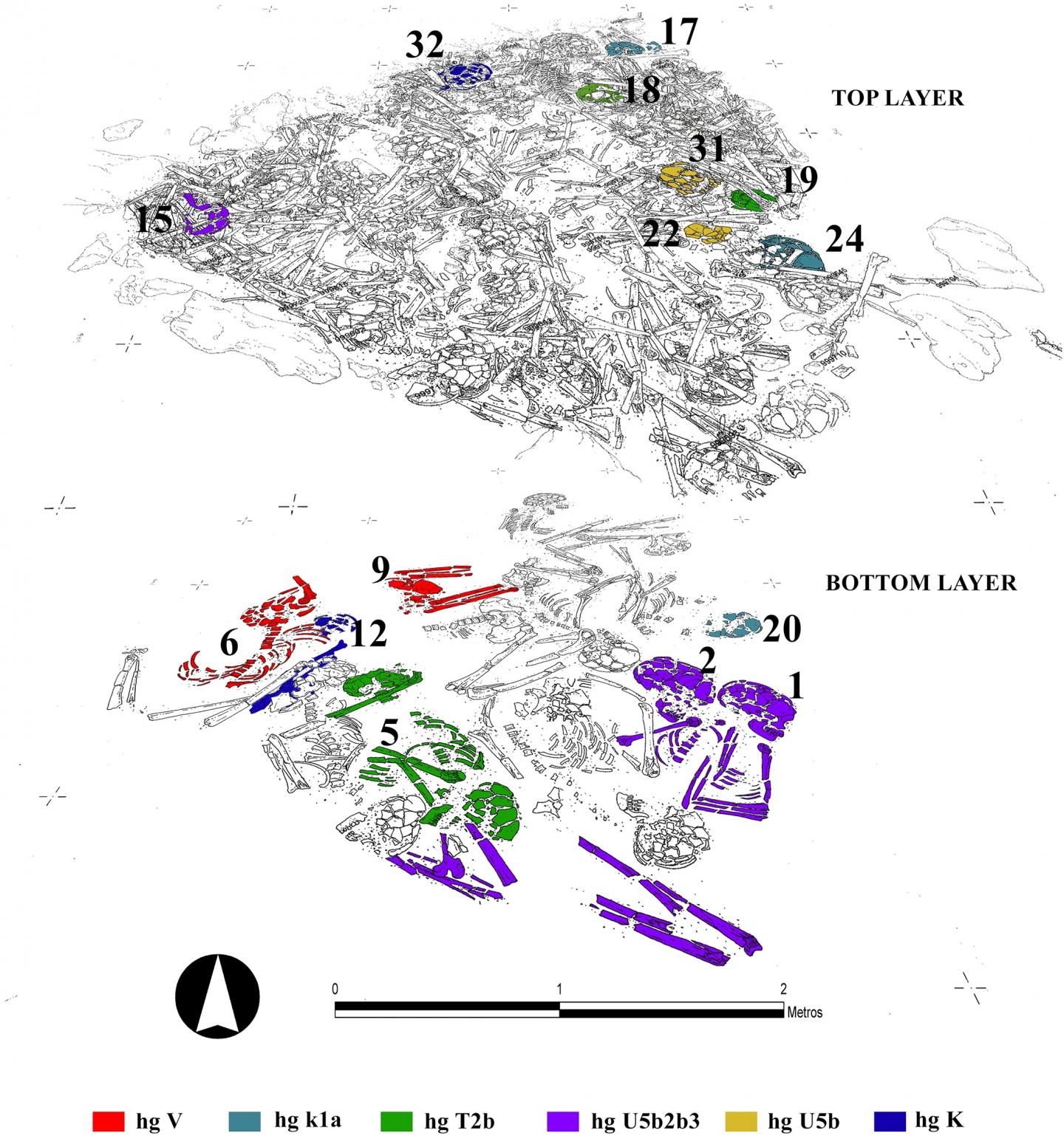 Neolithic Tomb Reveals Community Stayed Together, Even in Death