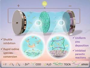 Anionically-Reinforced Nanocellulose Separator Enables Dual Suppression of Zinc Dendrites and Polyiodide Shuttle for Long-Cycle Zn-I2 Batteries
