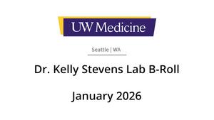 Kelly Stevens' liver reconstruction lab broll