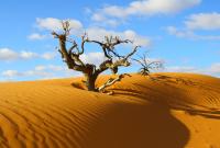 Drifting Sand