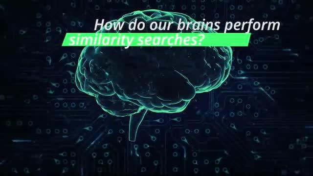 Lessons From the Fly Brain Improve Search Algorithms (1 of 3)