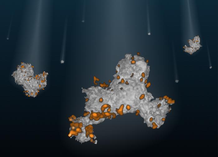 The Gooier Marine Snow Is, the Better It Is at Transporting Carbon