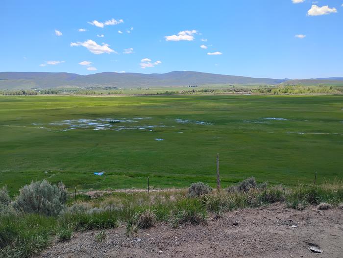 Meeker fields