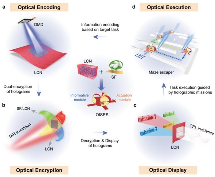 Figure | Schematic illustration showing the design of soft robotic system with integrated information encoding, encryption, display, and execution functionalities.
