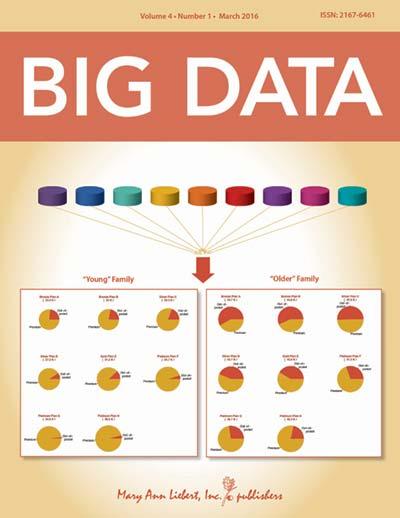 <em>Big Data</em>