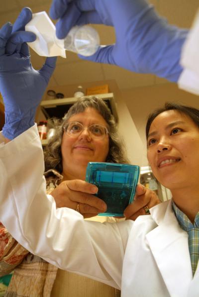 Natural Signal Holds Promise for Psoriasis, Age-Related Skin Damage