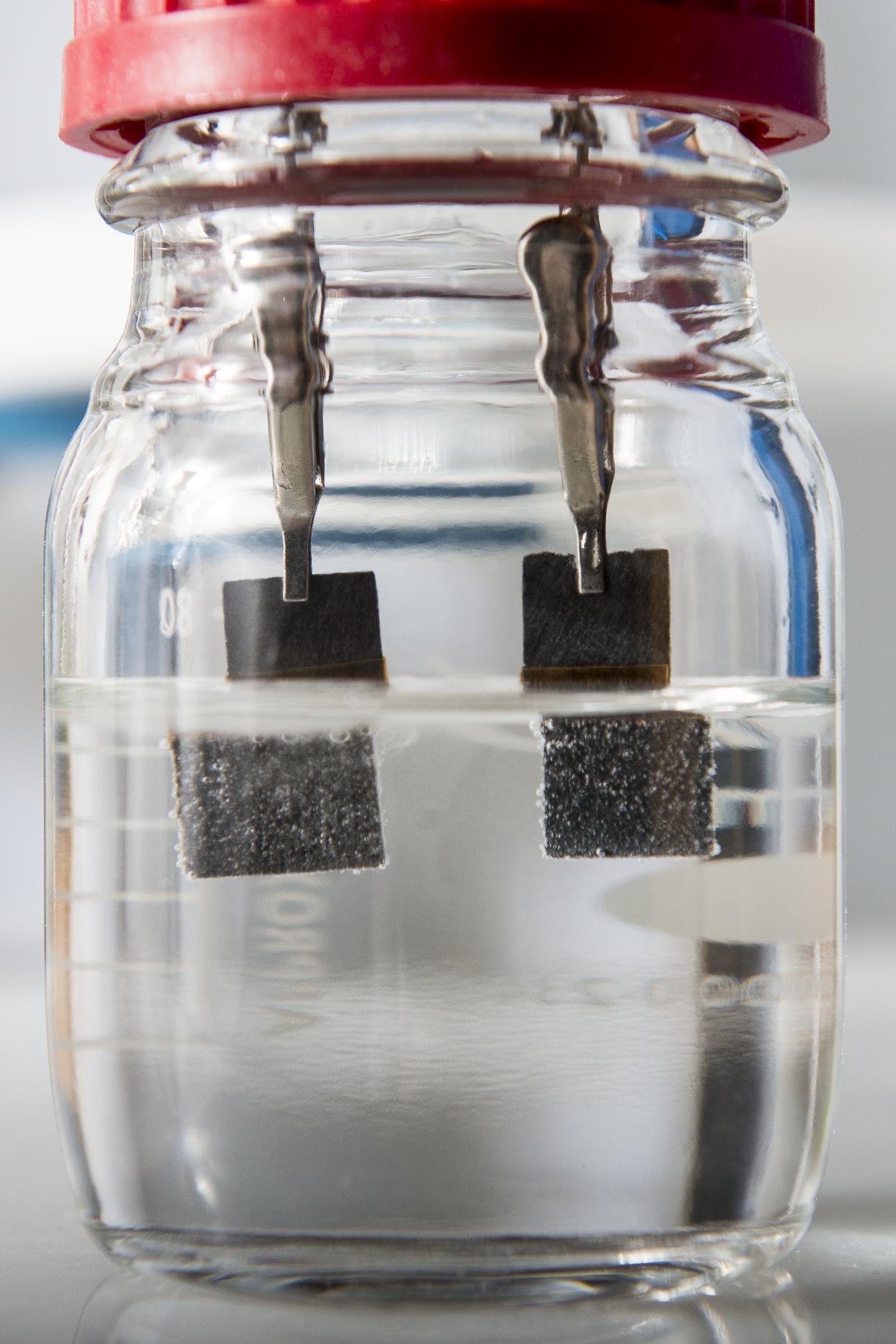 Stanford Water Splitter 
