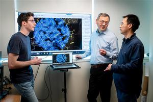 Researchers find a ‘hidden pocket’ to target nuclear receptors