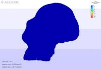 Simulation of Australopithecus Africanus