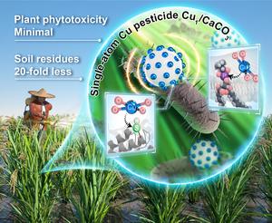 A copper-based single-atom pesticide, Cu1/CaCO3, effectively controls plant diseases with nearly zero soil residue and low phytotoxicity