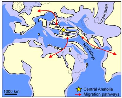 Biogeographic Crossroads