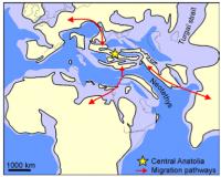Biogeographic Crossroads