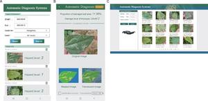 Fig. 2. Interfaces of the field diagnostic system for leafminer damage level.